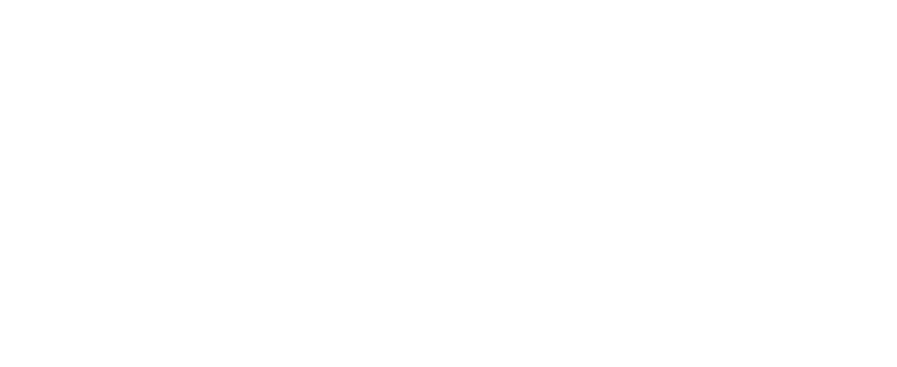 Nokian Tyres